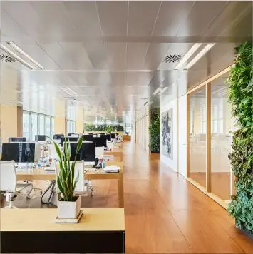 diseno-de-oficina